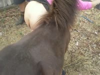 Big horse dick fucks a sexy bitch